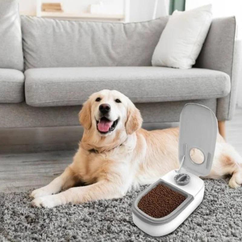 Alimentador Automático para Cães e Gatos