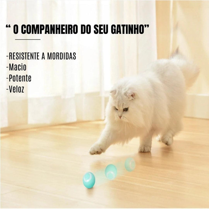 Bola automotiva Para Gatos