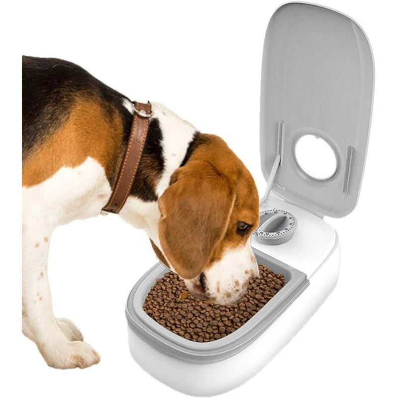 Alimentador Automático para Cães e Gatos