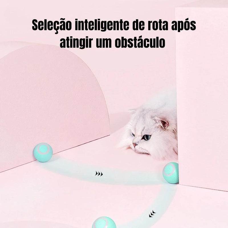 Bola automotiva Para Gatos